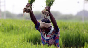 How Odisha is leveraging technology to ensure food security