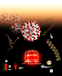 Scientists develop new technology platform to detect SARS-CoV-2 by fluorescence readout