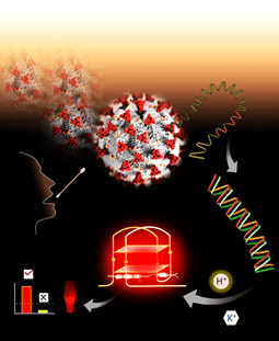 Scientists develop new technology platform to detect SARS-CoV-2 by fluorescence readout