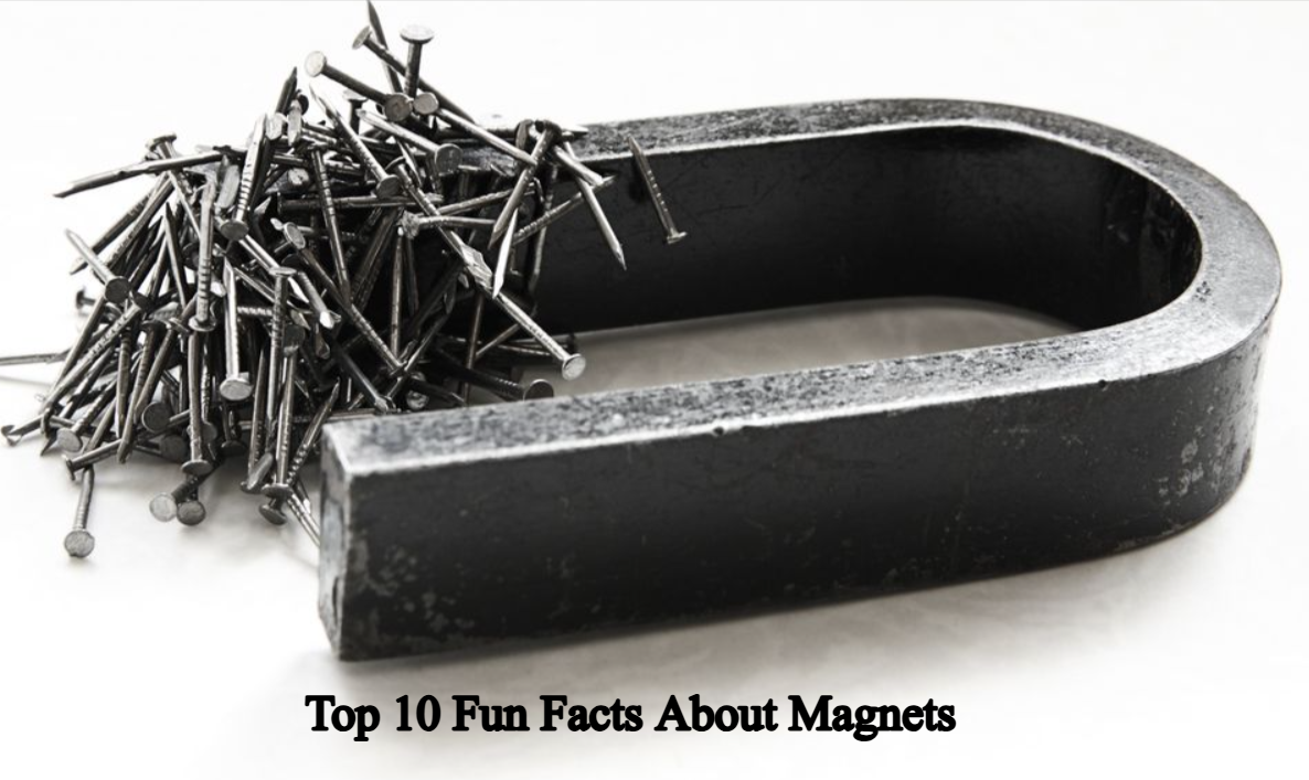 Top 10 Fun Facts About Magnets