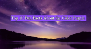 Top 10 Fun Facts About the Color Purple