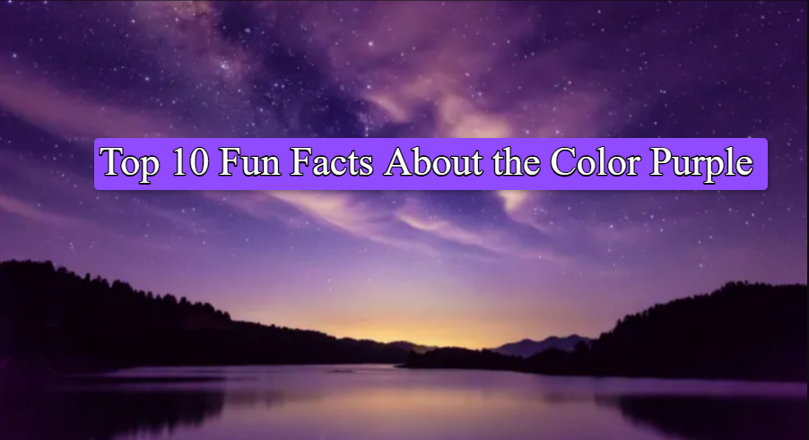 Top 10 Fun Facts About the Color Purple