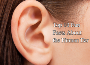 Top 10 Fun Facts About the Human Ear