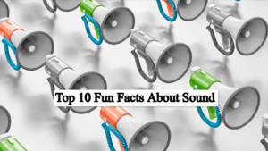 Top 10 fun facts about sound