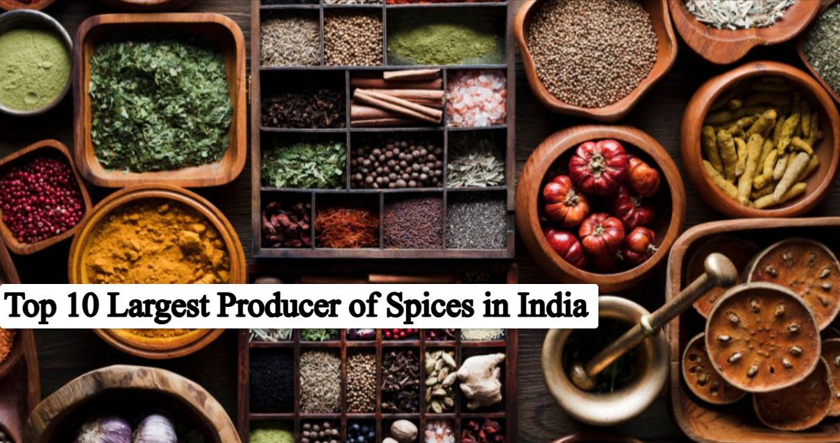 top 10 Largest Producer of Spices in India