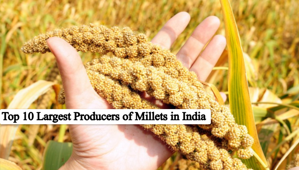 top 10 Largest producers of millets in India