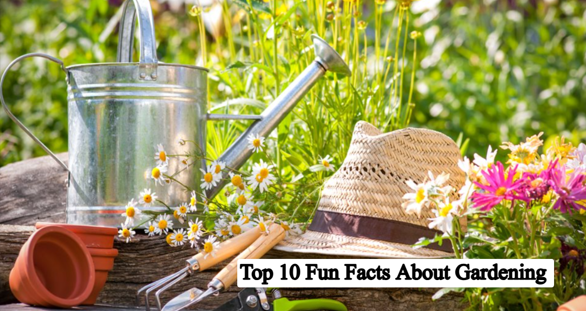 top 10 fun facts about gardening
