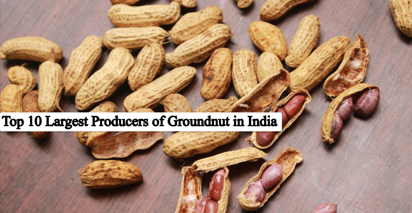 top 10 largest producers of groundnut in India